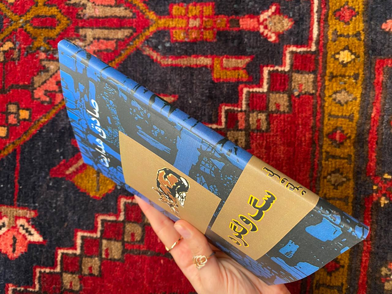 سگ ولگرد