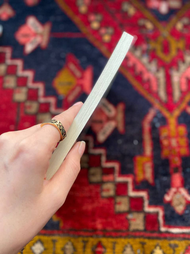 بازگشت پنهانی به شیلی
