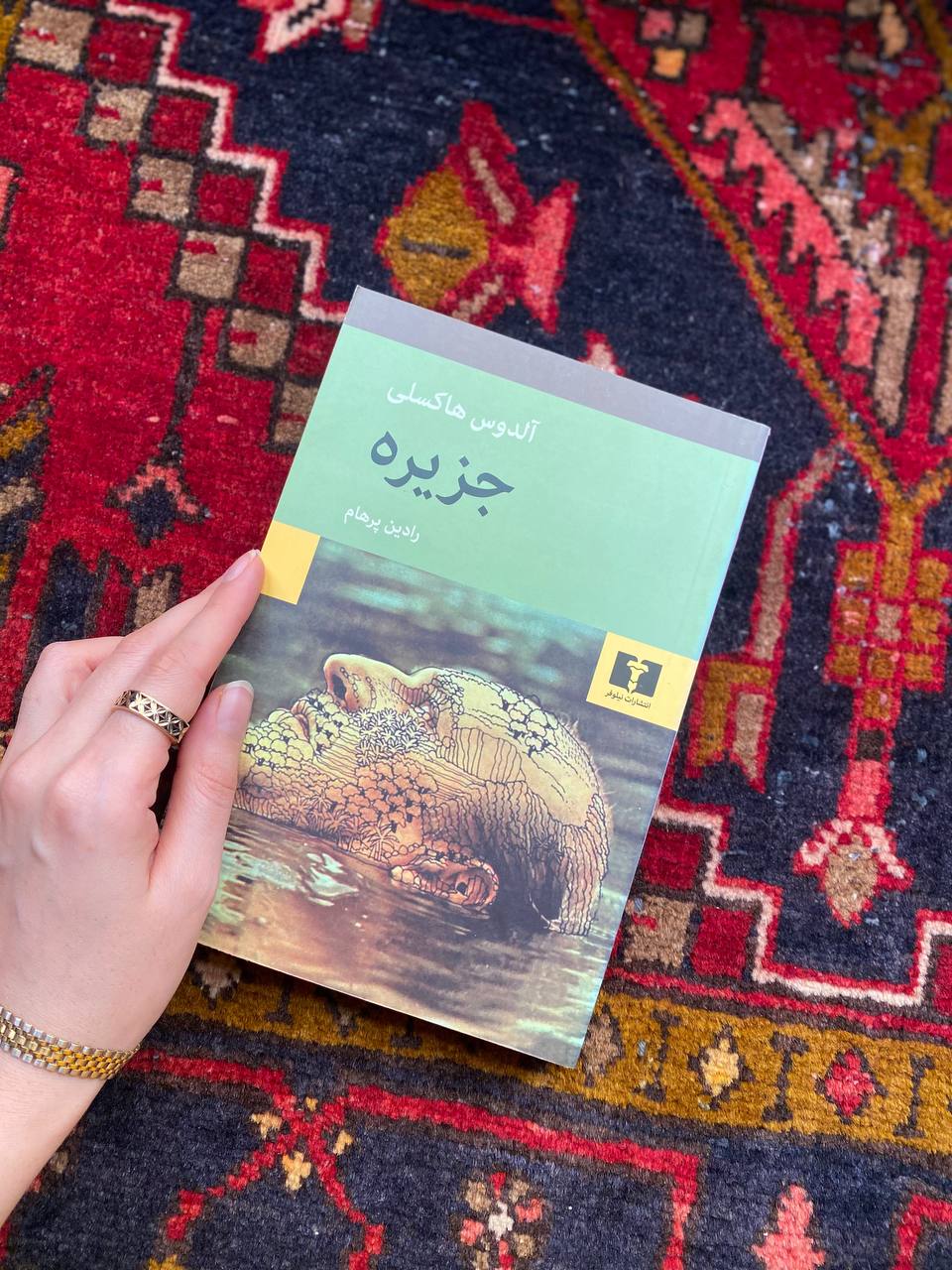 جزیره