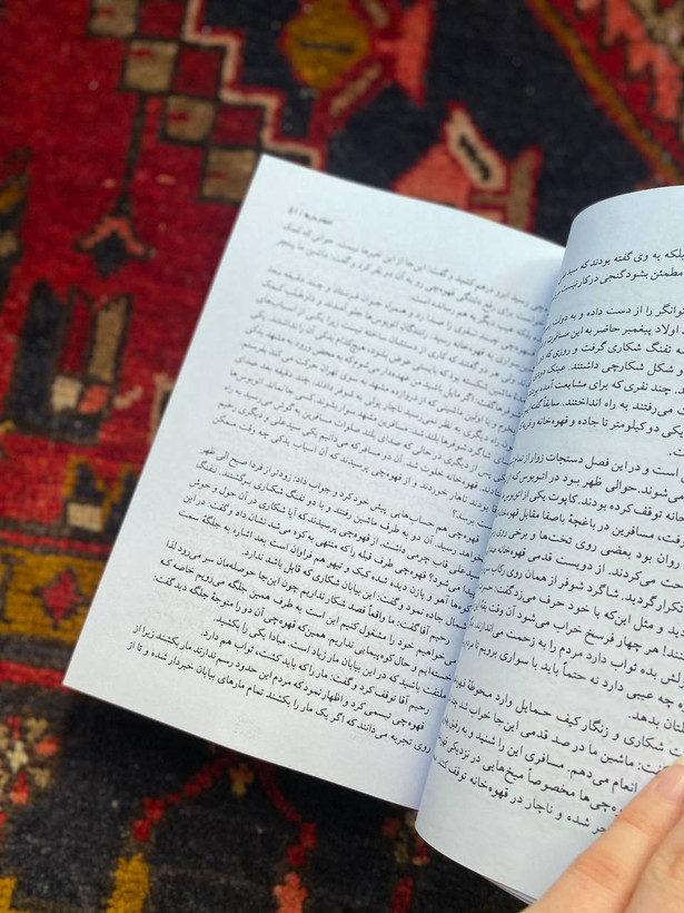 در پس پرده