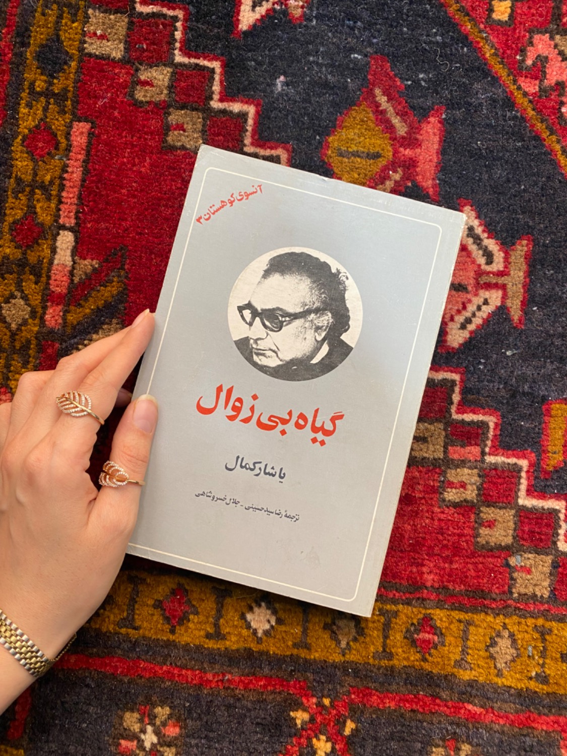 گیاه بی زوال