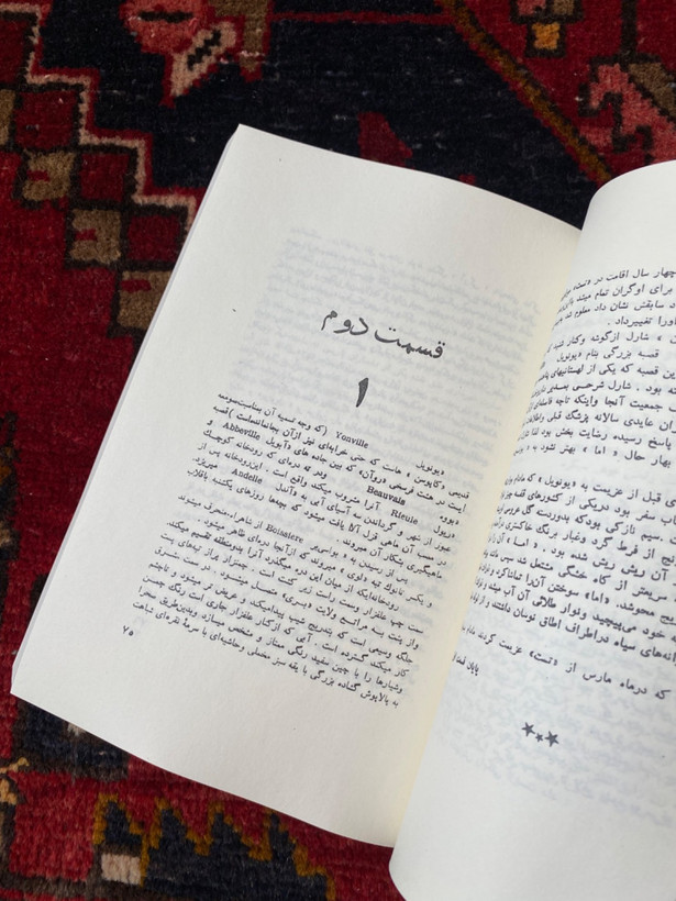 مادام بواری